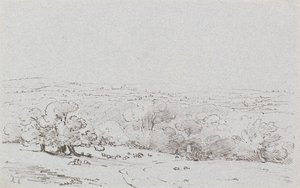 Carriage Approach to Bromley Hill, c.1803 (etching)