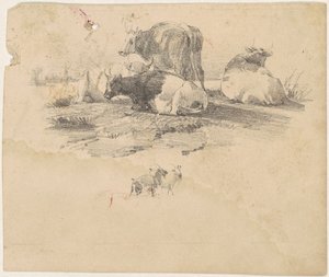 牛群 作者 美国 19 世纪