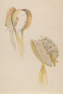 帽子 作者 美国20世纪