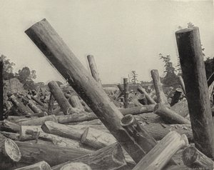 A Log Jam in St Croix River, Wisconsin (b/w photo) 作者 美国摄影师（后）