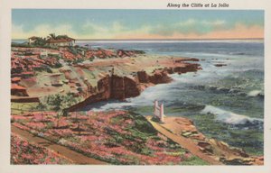 加利福尼亚州：沿着 La Jolla 的悬崖（照片） 作者 美国摄影师（后）