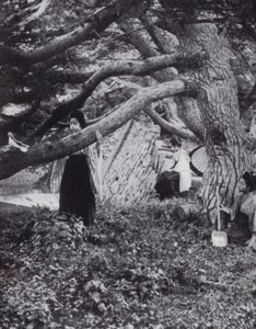 Gadis-gadis Jepang di antara pohon-pohon pinus tua di samping parit kekaisaran kuno di Tokio (foto b/w)