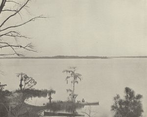 Pamlico River, North Carolina (b/w photo) 作者 美国摄影师（后）