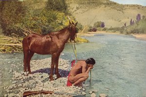 Apache Warrior，Rio Navaho，亚利桑那州（彩色照片）