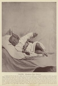 Calona，Soudanese Baby Dancer