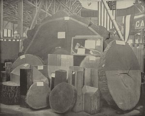 Gladstones Axe 作者 美国摄影师