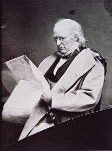 贺拉斯·格里利 (1811-72)（黑白照片） 作者 美国摄影师
