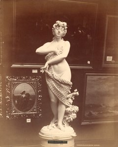 爱情网，意大利展览，百年国际展览，1876年 作者 美国摄影师