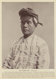 Mandooer先生，爪哇人