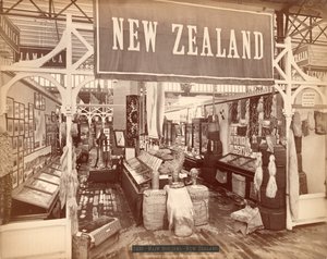 新西兰，百年国际展览，1876年（蛋白印刷） 作者 美国摄影师