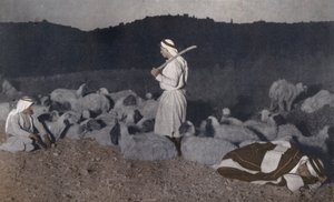 巴勒斯坦牧羊人在夜里看护羊群（彩色照片） 作者 美国摄影师