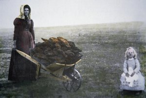 收集牛粪的女先锋，堪萨斯州，约1880年（彩色照片）。 作者 美国摄影师