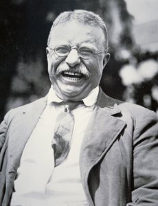 西奥多-罗斯福总统，约1917年（黑白照片）。 作者 美国摄影师