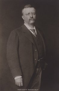西奥多罗斯福，美国第26任总统，1904年 作者 美国摄影师