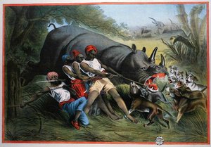 猎杀犀牛 (chromolitho) 作者 美国学校