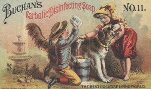 Buchans Carbolic Disinfecting Soap No. 11，c.1880的广告 作者 美国学校