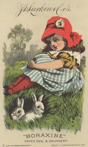 JD Larkin＆Cos Boraxine的广告，1882年
