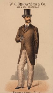 纽约 W C Browning  Co 公司的广告卡（彩色石版印刷） 作者 美国学校