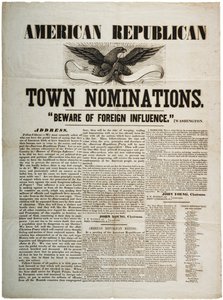 美国共和党提名：谨防外国影响，第1845页 作者 American School