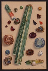 美国宝石（彩色石印） 作者 美国学校