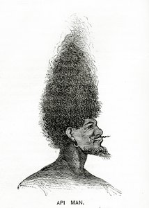 Api Man，插图来自Appletons Journal，1872年5月4日 作者 美国学校