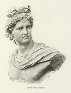 Apollo Belvedere 作者 美国学校