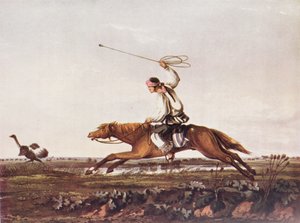 Balling Ostriches，再现自维达尔的“布宜诺斯艾利斯和蒙得维的亚的风景插图”，fom&39;The Rivernce of the River Plate&39;，Vol。我，由WH Koebel，1914年 作者 美国学校