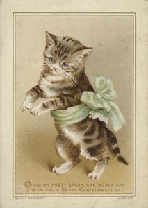 猫穿绿色蝴蝶结 作者 美国学校
