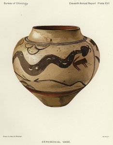 礼仪花瓶（彩色石版画） 作者 美国学校
