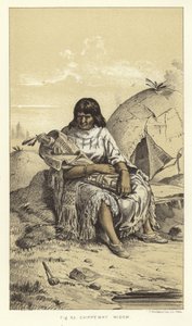 Chippeway寡妇 作者 美国学校