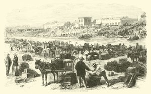 1863年11月，布朗斯维尔同盟撤离 作者 美国学校
