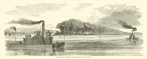1863年2月，同盟运输将牛带到维克斯堡 作者 American School