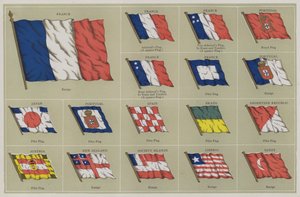 旗 作者 美国学校