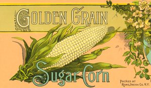 金粒糖玉米产品标签，约 1890 年（彩色石版印刷） 作者 美国学校