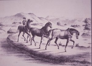 伊利运河上的马匹拉着运河船（雕刻）。 作者 美国学校