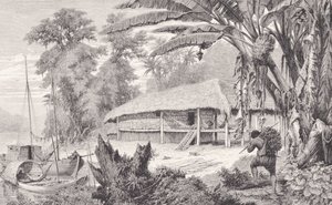 1874年弗兰兹凯勒（Franz Keller）的“亚马逊河和马德拉河”（The Amazon and Madeira Rivers）中富有的印度橡胶收藏家 作者 美国学校