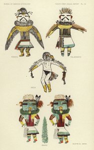 夸胡、帕拉克瓦约、凯卡、帕维克（彩色印刷版） 作者 美国学校