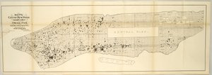 显示天花位置的纽约市地图，从 1874 年 5 月 1 日到 1875 年 4 月 30 日。 作者 美国学校
