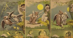 猫头鹰 作者 美国学校