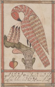 鹈鹕在它的虔诚，c.1800（墨水和纸上的wc） 作者 美国学校
