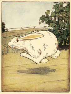Peter never stopped running, from The Tale of Peter Rabbit 作者 美国学校