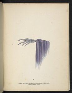 图版 8.骷髅手 Spectropia; or, Surprising spectral illusions showing ghosts everywhere, and of any colour, etc. ser.1. J.H. 布朗 1864 作者 美国学校