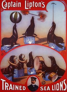 利普顿船长训练的海狮 "的广告海报，约1905年（彩色平印）。 作者 美国学校