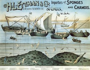 海报广告HL Ettman＆Co。，海绵和羚羊的进口商，1897年