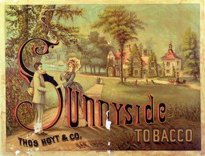 海报广告Sunnyside烟草
