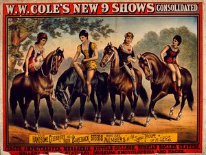 海报广告WW Coles New 9 Shows Consolidated