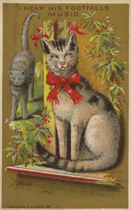骄傲的微笑的猫。 作者 美国学校