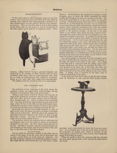 暗影，猫，消失的帽子 作者 美国学校