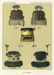 Sia面具 作者 美国学校