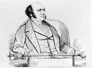 威廉罗恩汉密尔顿爵士（1805-65） 作者 美国学校